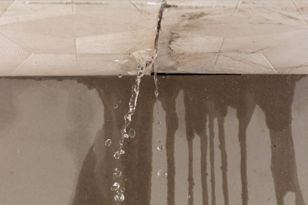 Professional Flood Damage Cleanup technician working in Trent, SD